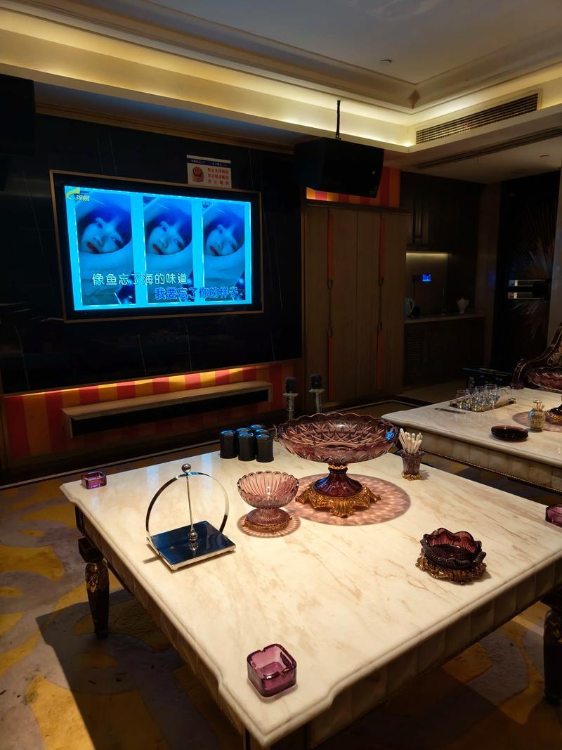 石家庄商务ktv消费指南-赞皇县ktv预订